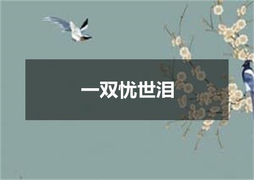 一双忧世泪