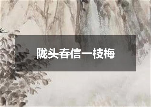 陇头春信一枝梅