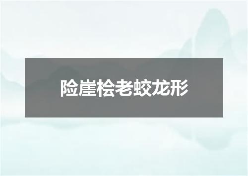 险崖桧老蛟龙形