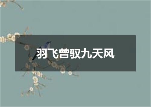 羽飞曾驭九天风