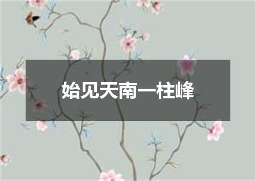 始见天南一柱峰