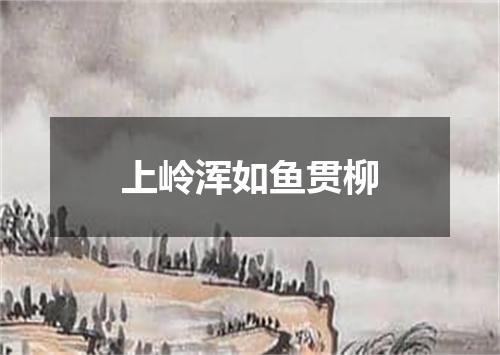上岭浑如鱼贯柳