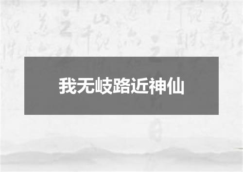 我无岐路近神仙
