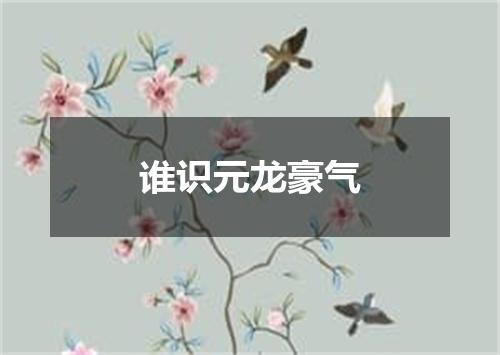 谁识元龙豪气