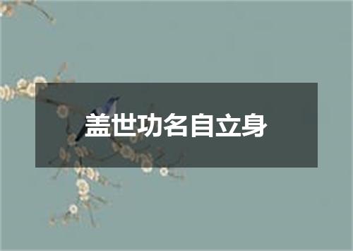盖世功名自立身