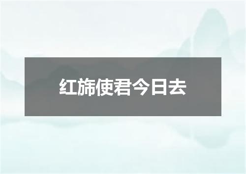 红旆使君今日去
