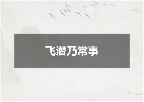飞潜乃常事