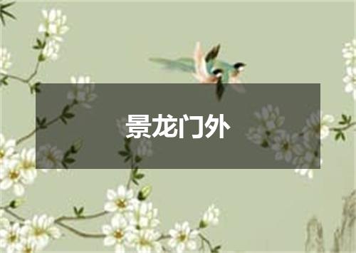 景龙门外