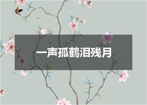 一声孤鹤泪残月