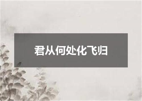 君从何处化飞归