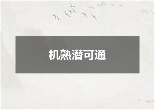 机熟潜可通