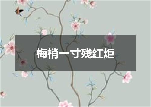 梅梢一寸残红炬