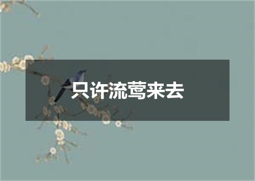 只许流莺来去