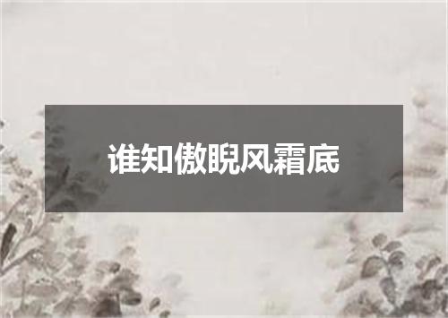 谁知傲睨风霜底