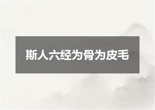 斯人六经为骨为皮毛
