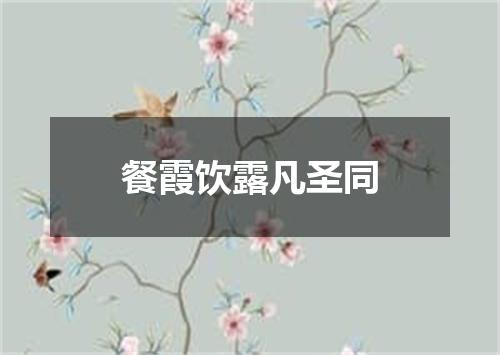 餐霞饮露凡圣同