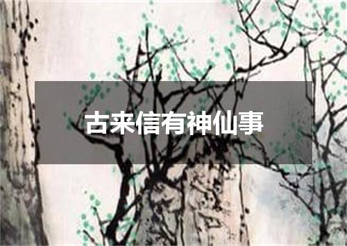 古来信有神仙事