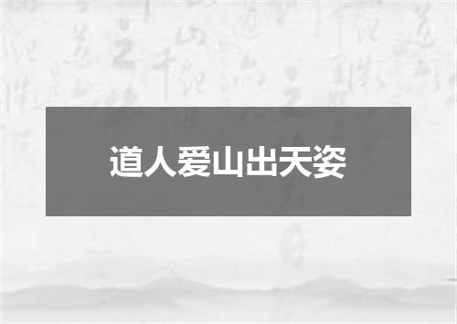 道人爱山出天姿