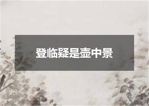 登临疑是壶中景