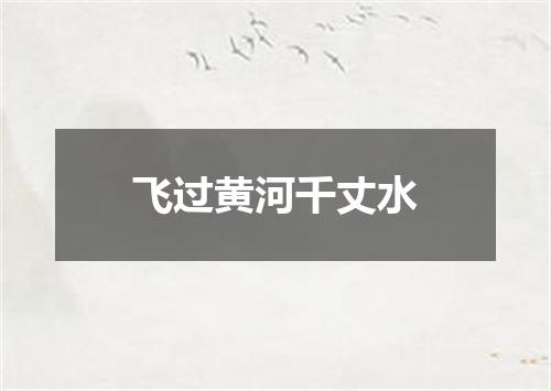 飞过黄河千丈水
