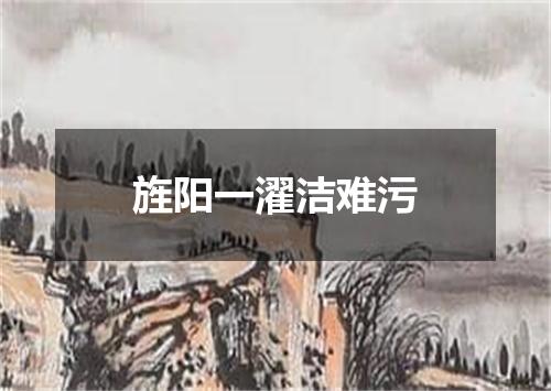 旌阳一濯洁难污