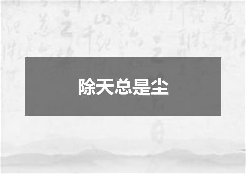 除天总是尘