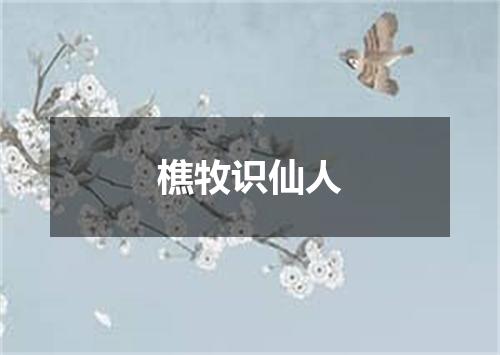 樵牧识仙人