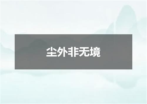 尘外非无境