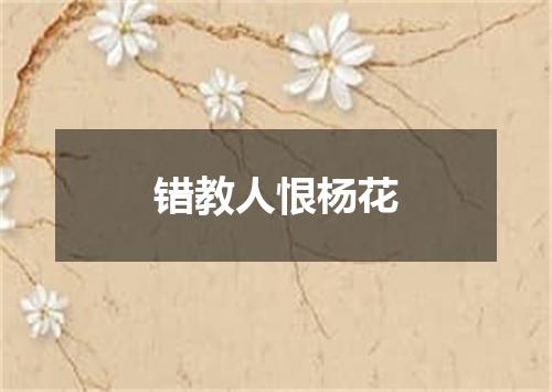 错教人恨杨花