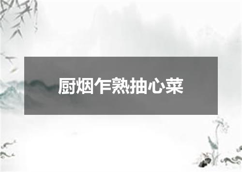厨烟乍熟抽心菜