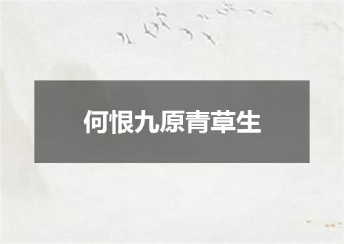 何恨九原青草生