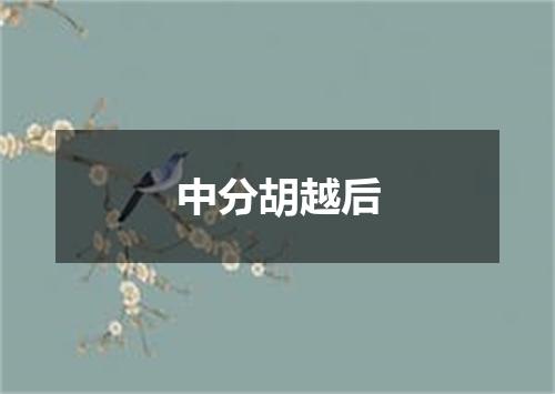 中分胡越后