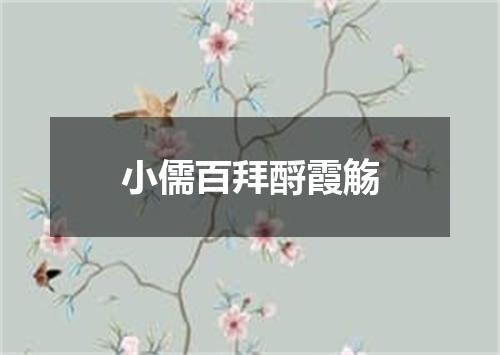 小儒百拜酹霞觞