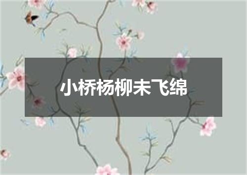小桥杨柳未飞绵