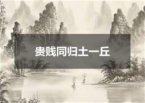 贵贱同归土一丘