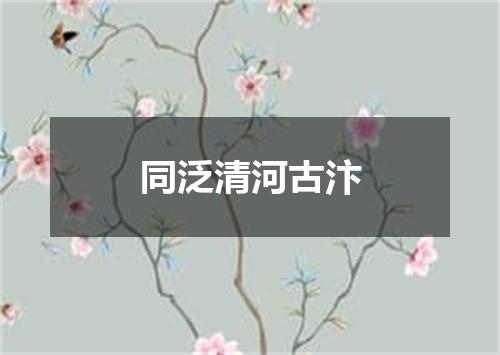同泛清河古汴