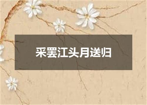 采罢江头月送归