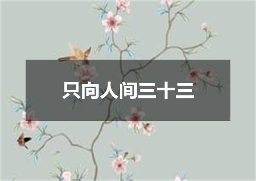 只向人间三十三