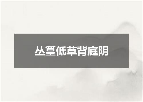 丛篁低草背庭阴