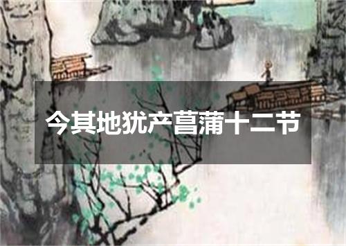 今其地犹产菖蒲十二节