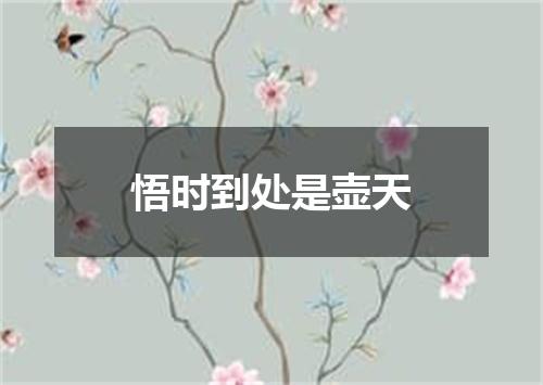悟时到处是壶天