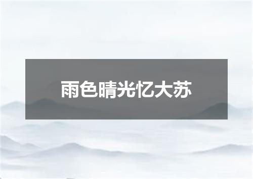 雨色晴光忆大苏