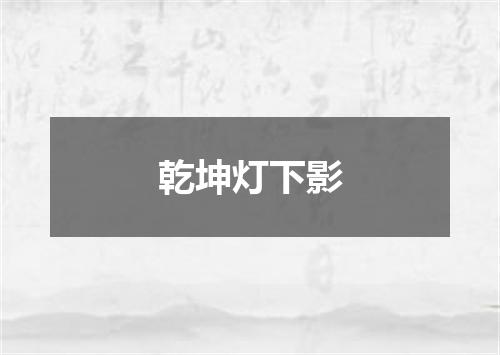 乾坤灯下影