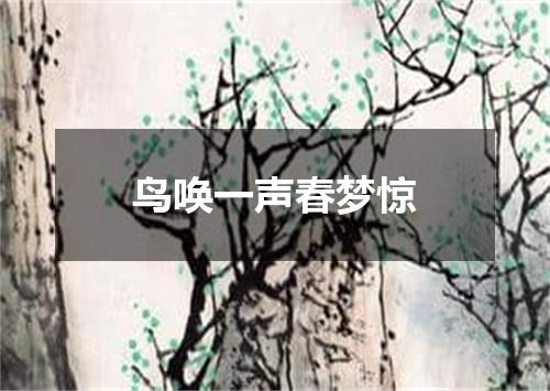 鸟唤一声春梦惊