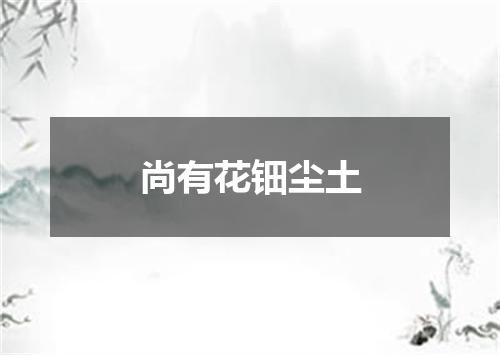 尚有花钿尘土