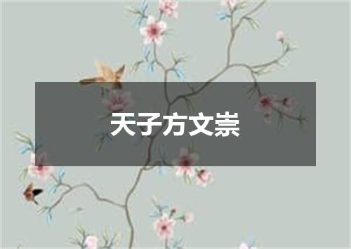 天子方文崇