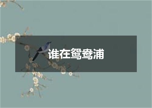 谁在鸳鸯浦