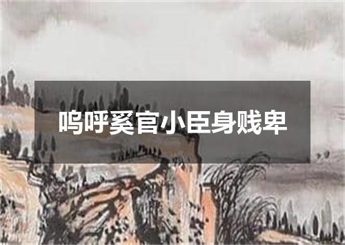 呜呼奚官小臣身贱卑