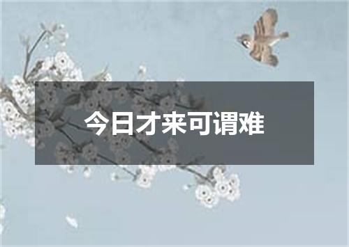 今日才来可谓难