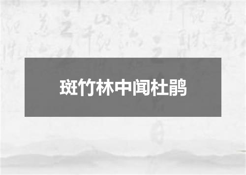 斑竹林中闻杜鹃